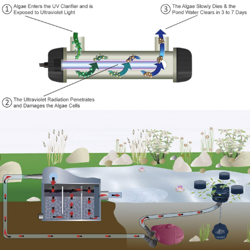 Uv pond online filter