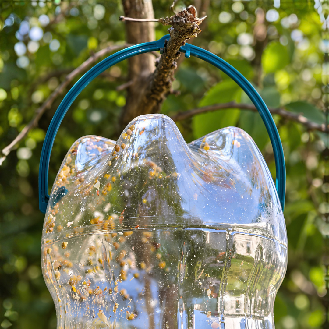 Recycled PVC bird feeder attachment for converting a 2L plastic bottle into a hanging DIY garden bird seed feeder