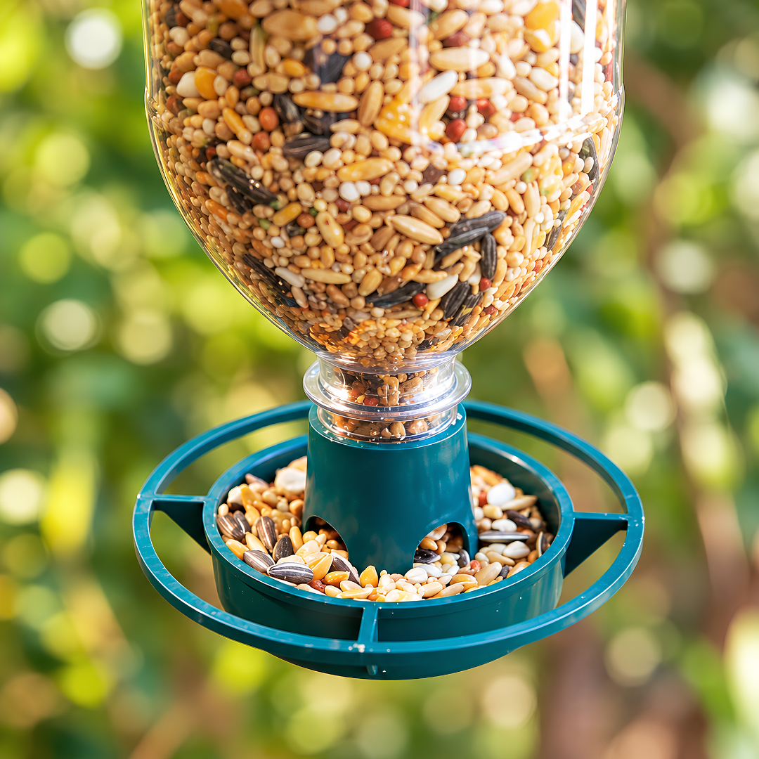 Recycled PVC bird feeder attachment for converting a 2L plastic bottle into a hanging DIY garden bird seed feeder