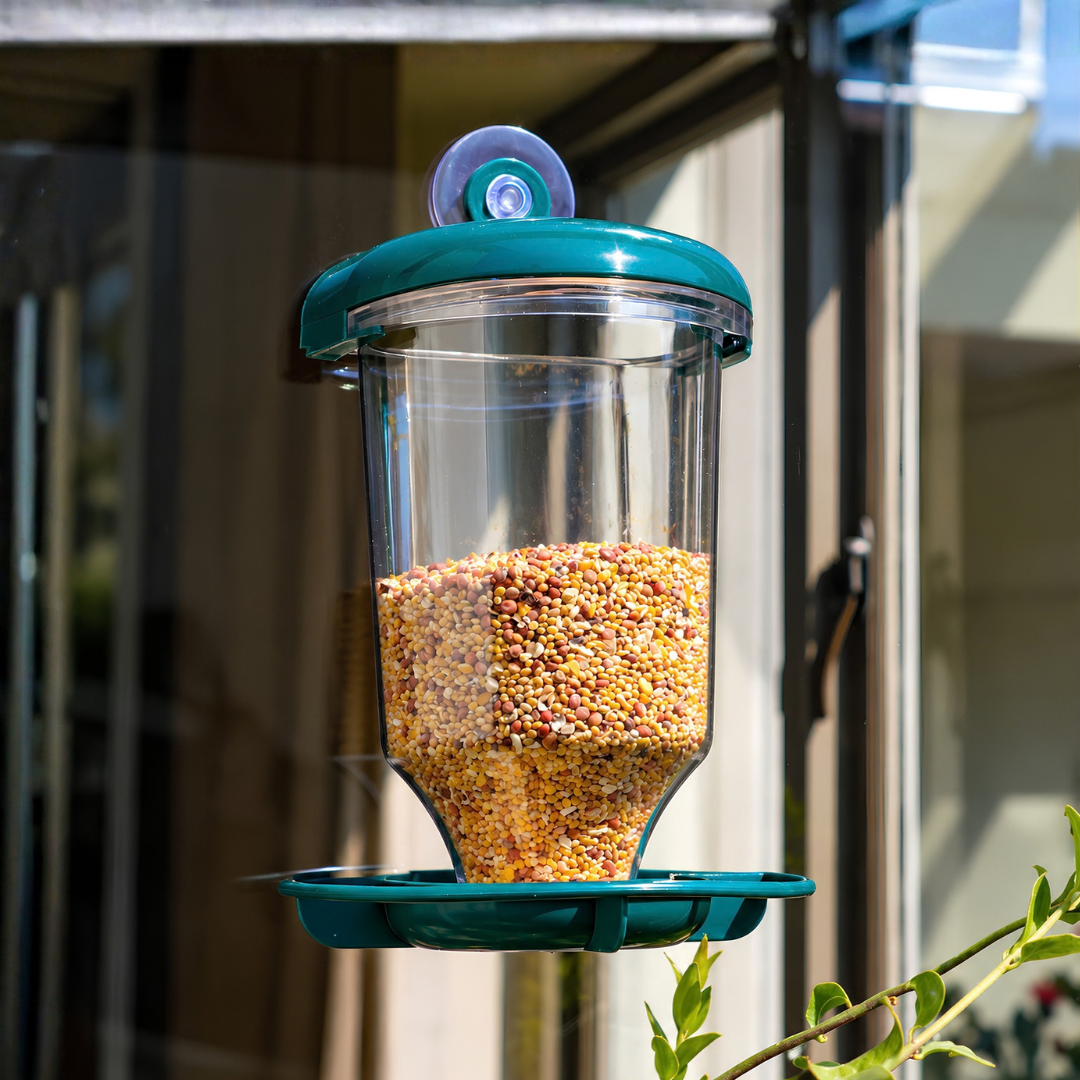 Waterhouse transparent window bird feeder with suction cup mount and 200ml seed holder for close-up birdwatching at home or in apartments