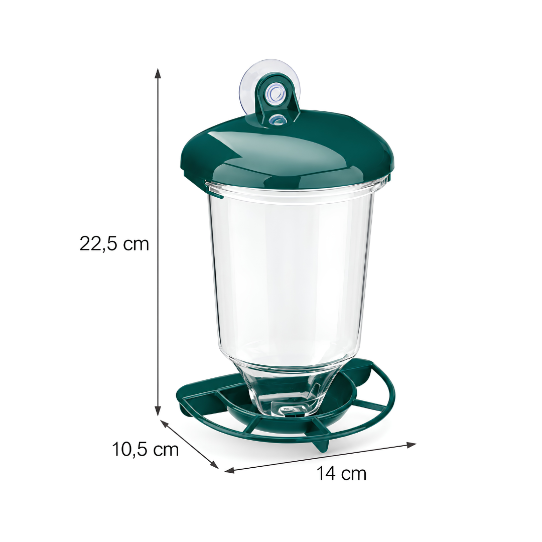 Waterhouse transparent window bird feeder with suction cup mount and 200ml seed holder for close-up birdwatching at home or in apartments