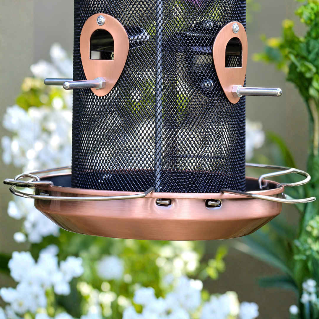 Waterhouse rose gold copper hanging bird feeder with protective roof and wire mesh feeding area for attracting garden birds