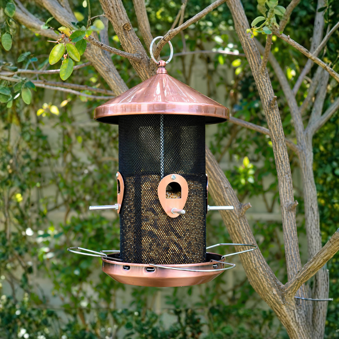 Waterhouse rose gold copper hanging bird feeder with protective roof and wire mesh feeding area for attracting garden birds