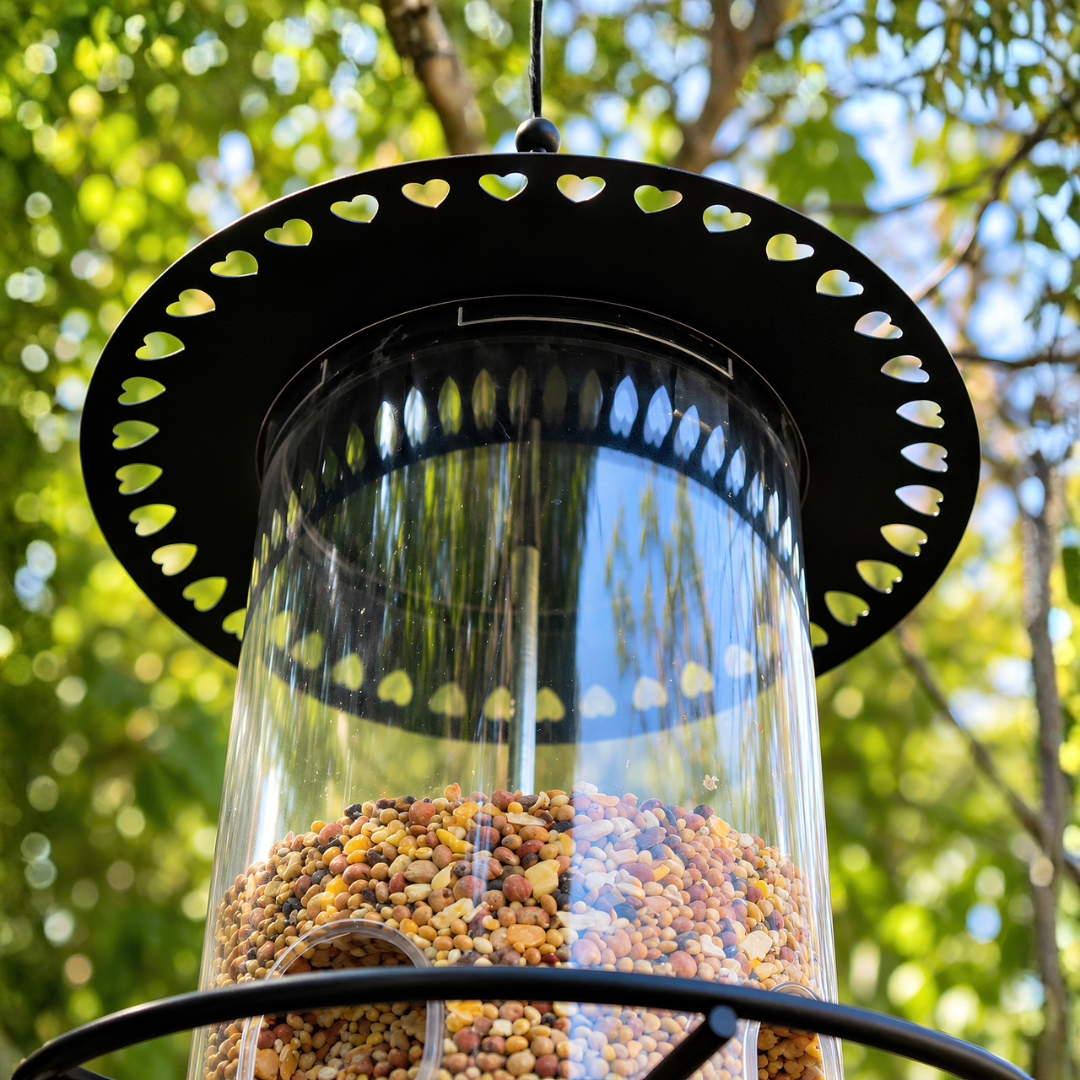 Waterhouse black heart metal bird feeder with decorative heart-shaped lid details and durable seed compartment for feeding garden birds