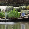HOW TO MAINTAIN YOUR POND PUMP.