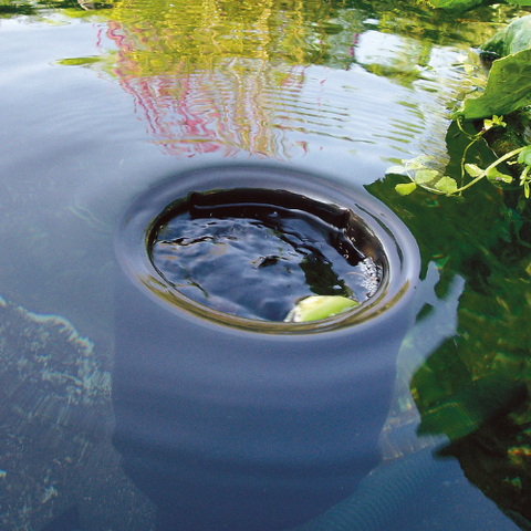 POND LEAF SKIMMER
