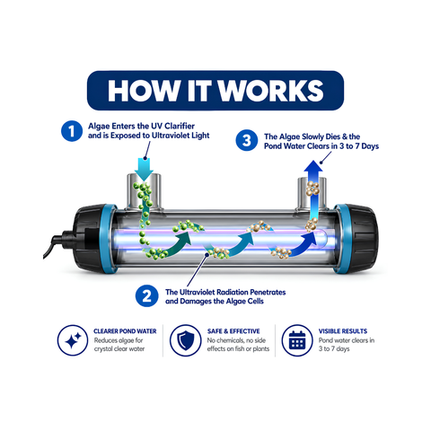 UltraZap 55 Watt UV Pond Clarifier for koi ponds, garden ponds and water features up to 50,000 litres, designed to control green pond water and free-floating algae with a maximum flow rate of 18,000 litres per hour.