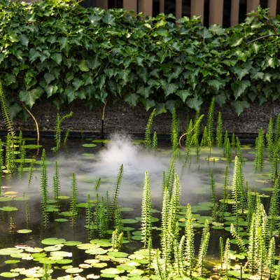 5 Disc ultrasonic mist maker with transformer, 1600ml/h cool fog output and 10m cable for water features, ponds and humidification
