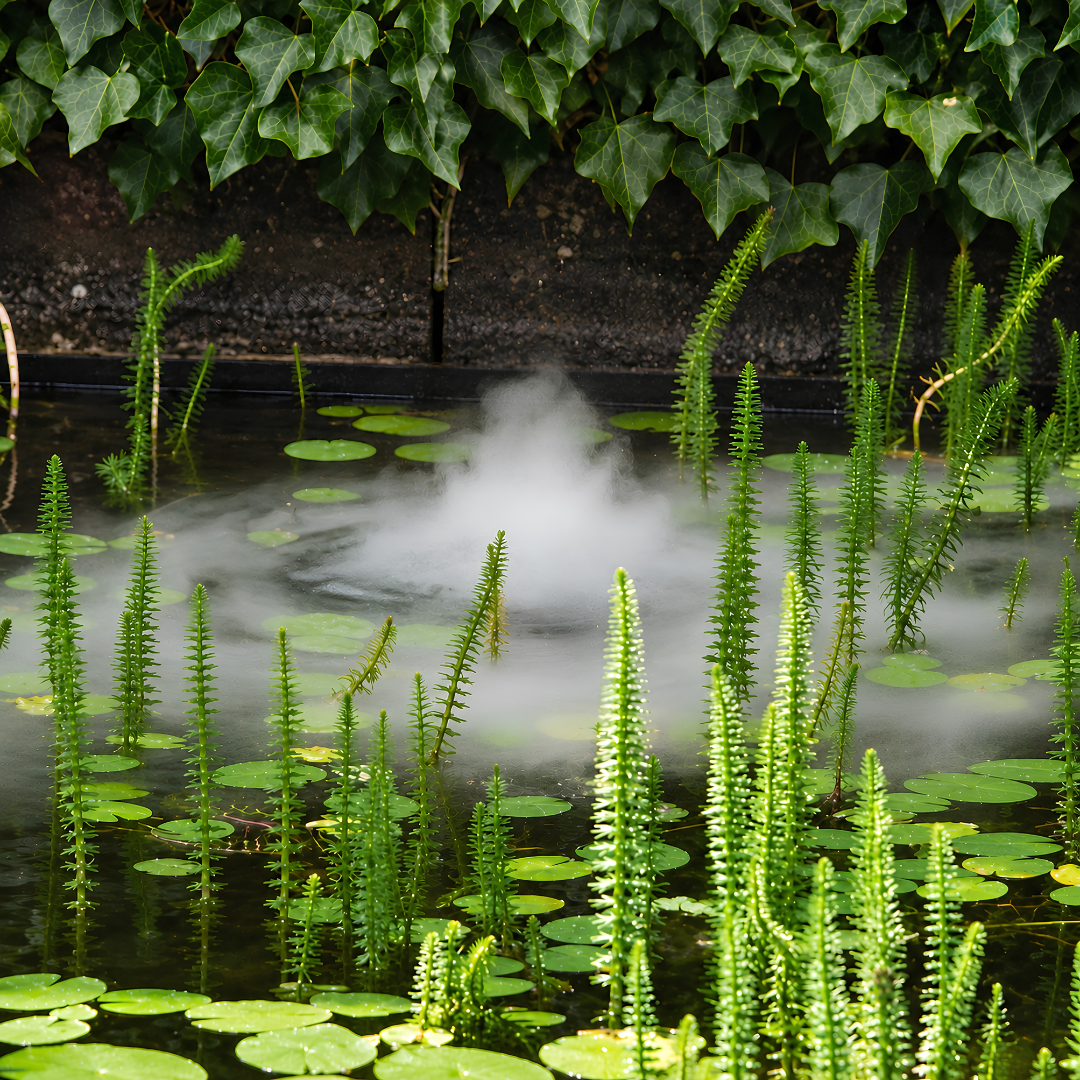 WM90 9 Disc ultrasonic mist maker with 200W power, 10m cable and ceramic discs for ponds, fountains and water features