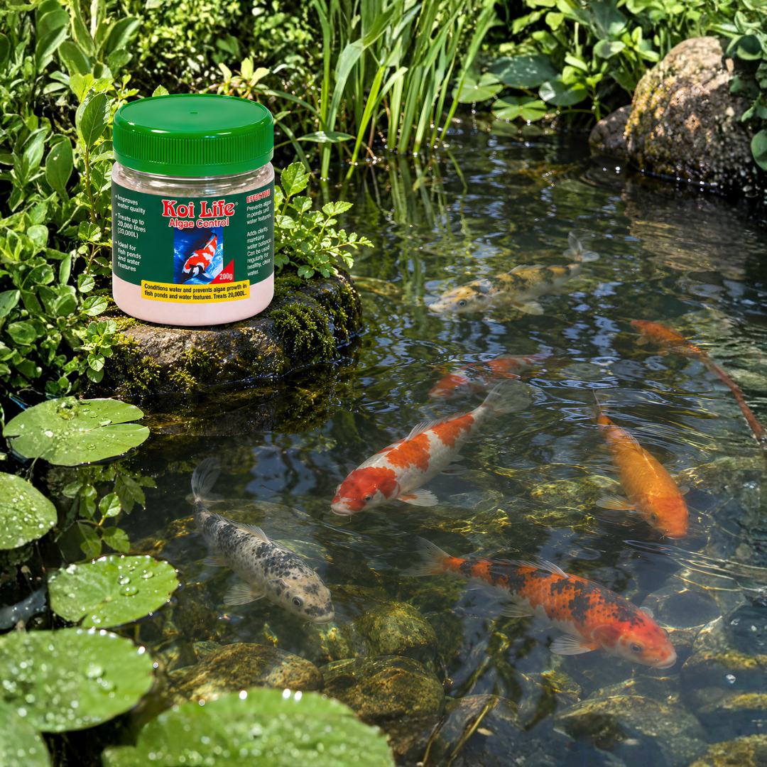 KOI LIFE Algae Control 200g pond algae treatment for koi ponds, fish ponds and aquatic plants, chlorine, copper and phosphate-free