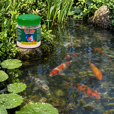 KOI LIFE Algae Control 200g pond algae treatment for koi ponds, fish ponds and aquatic plants, chlorine, copper and phosphate-free