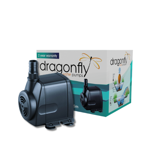DF440_500x.png?v=1707813560