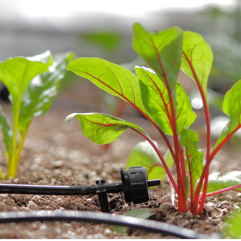 Solar Powered Automatic Drip Irrigation Watering System for Jojo Tanks