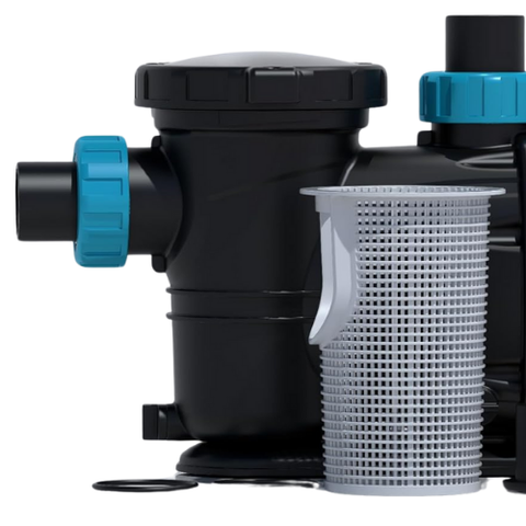 Replacement Basket Strainer for Leo Pool Pumps