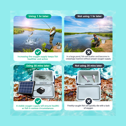 Solar powered dual outlet air oxygen pump for fish ponds and aquariums with 20W solar panel, rechargeable lithium battery, adjustable airflow and air stones for pond aeration.