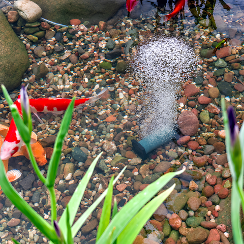 Solar Powered Air Pump with Single Large Air Stone, featuring a 5W solar panel, 10 L/min maximum airflow, 50 × 150mm air stone and 5m hose for aerating garden ponds and fish ponds.