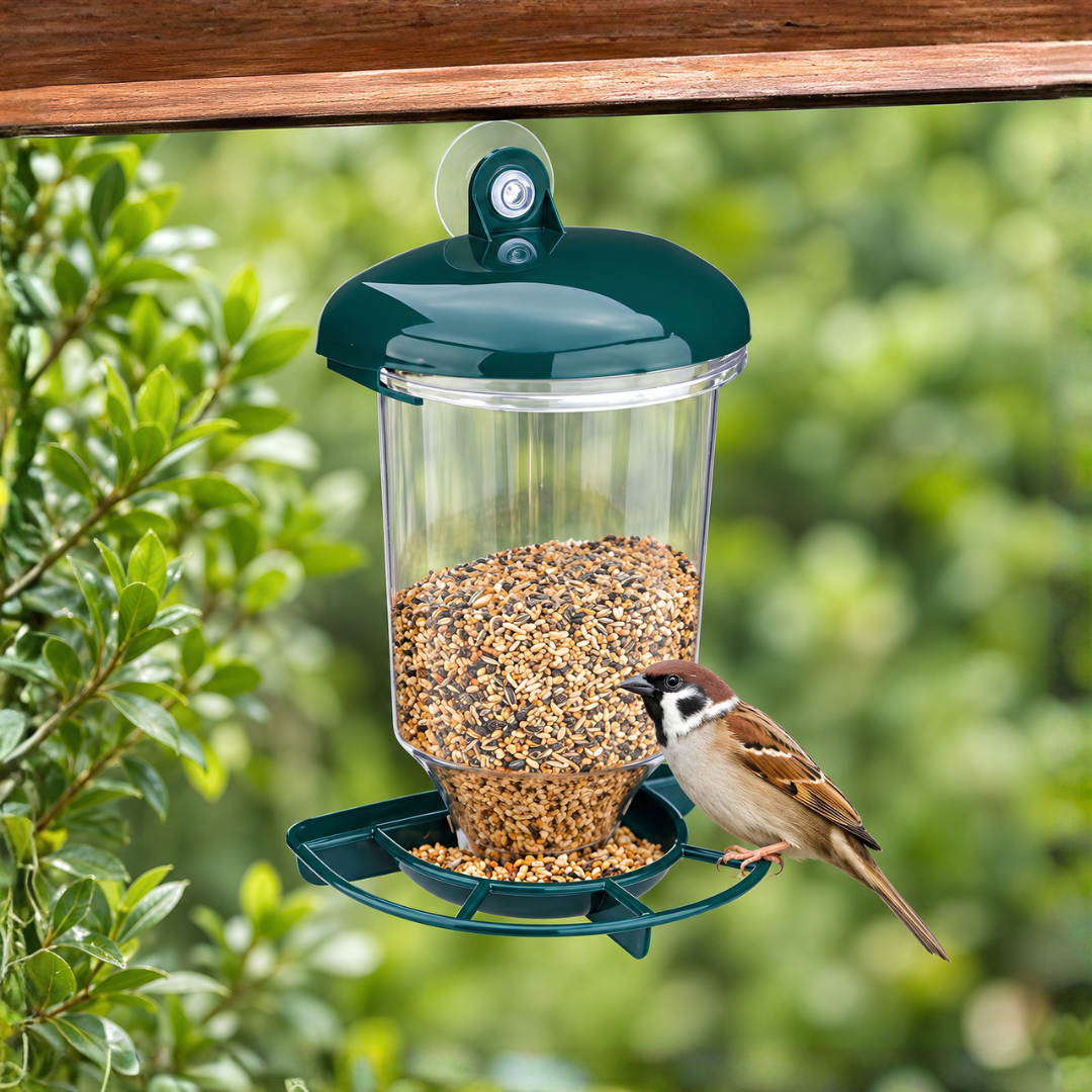 Waterhouse transparent window bird feeder with suction cup mount and 200ml seed holder for close-up birdwatching at home or in apartments