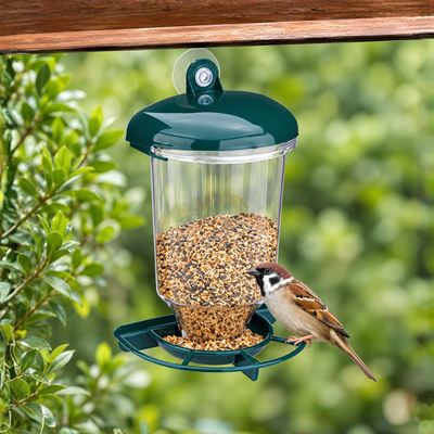 Waterhouse transparent window bird feeder with suction cup mount and 200ml seed holder for close-up birdwatching at home or in apartments