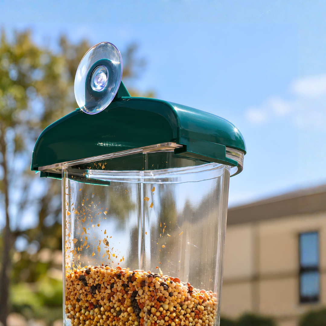 Waterhouse transparent window bird feeder with suction cup mount and 200ml seed holder for close-up birdwatching at home or in apartments