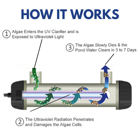 55 WATT UV CLARIFIER – ULTRAZAP