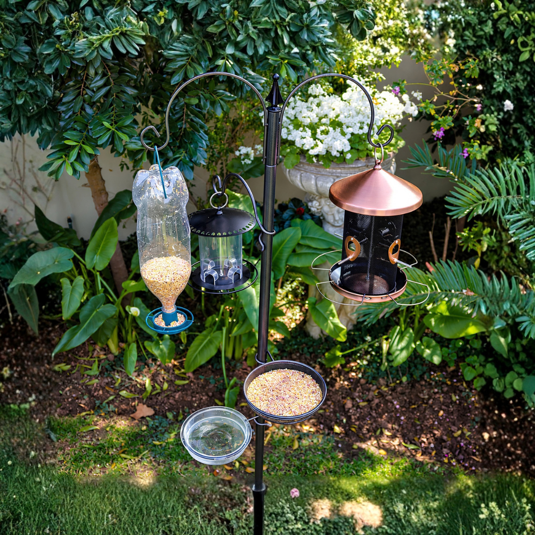 Waterhouse black metal bird feeder station stand with 3 feeder hooks, mesh feeding dish, water dish and 2 metre ground spike pole for garden birds