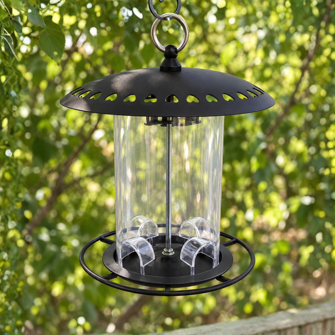 Waterhouse black heart metal bird feeder with decorative heart-shaped lid details and durable seed compartment for feeding garden birds