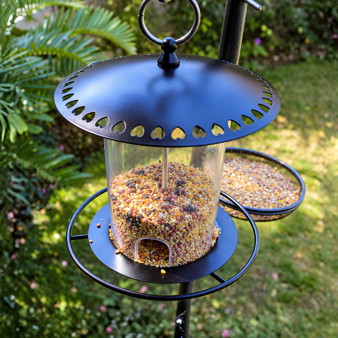 Waterhouse black heart metal bird feeder with decorative heart-shaped lid details and durable seed compartment for feeding garden birds