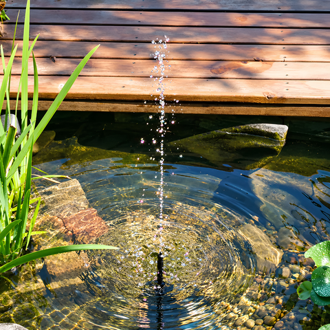 Waterhouse Solar Pond and Fountain Pump Kit 200L/H with 2.5W solar panel, 6V submersible water pump, adjustable flow, fountain nozzles and mounting accessories for small garden ponds and water features.