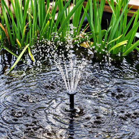 Waterhouse Solar Pond and Fountain Pump Kit 200L/H with 2.5W solar panel, 6V submersible water pump, adjustable flow, fountain nozzles and mounting accessories for small garden ponds and water features.