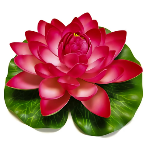 lilies pink