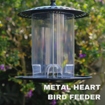 Waterhouse black heart metal bird feeder with decorative heart-shaped lid details and durable seed compartment for feeding garden birds