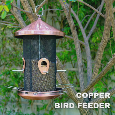 Waterhouse rose gold copper hanging bird feeder with protective roof and wire mesh feeding area for attracting garden birds