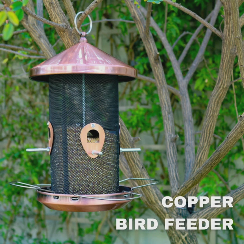 Waterhouse rose gold copper hanging bird feeder with protective roof and wire mesh feeding area for attracting garden birds