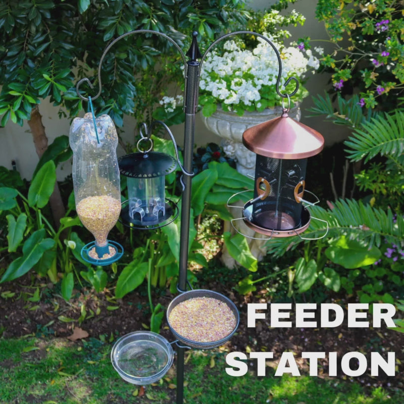 Waterhouse black metal bird feeder station stand with 3 feeder hooks, mesh feeding dish, water dish and 2 metre ground spike pole for garden birds
